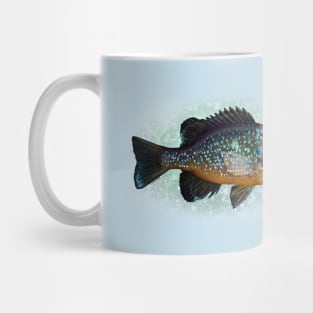 The Pumpkinseed Panfish Mug